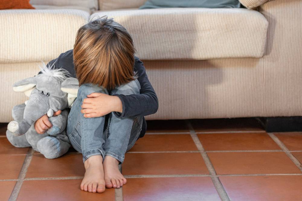 Emotional Regulation Skills in Children